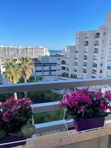 Studio Cabine Vue Mer Et Port كارنو بلاج المظهر الخارجي الصورة
