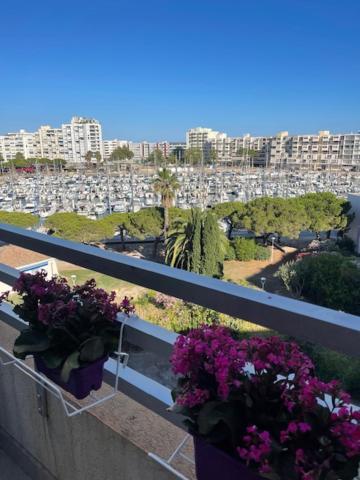 Studio Cabine Vue Mer Et Port كارنو بلاج المظهر الخارجي الصورة